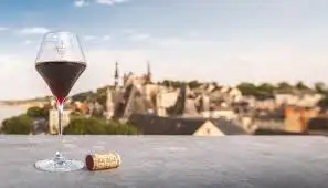 Discover the Unique Flavor of Jagermeister Mini for Your Next Adventure