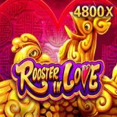 i9bet online
