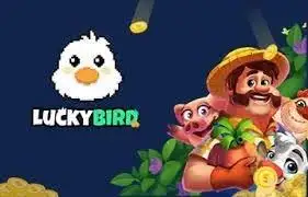 đá gà trực tiếp thomo bữa nay